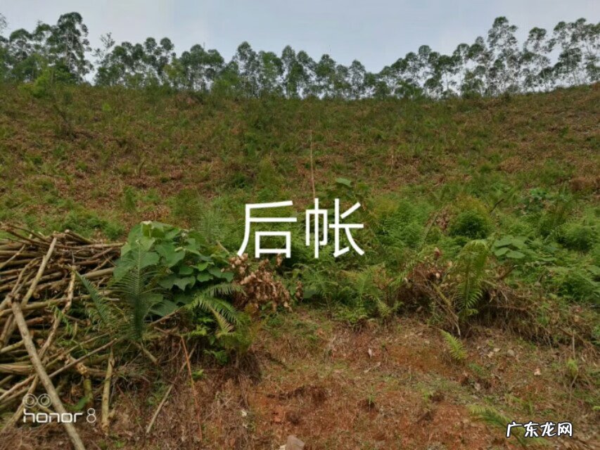 龙门八局二十四山秘诀 二十四山寻龙秘诀,三僚风水