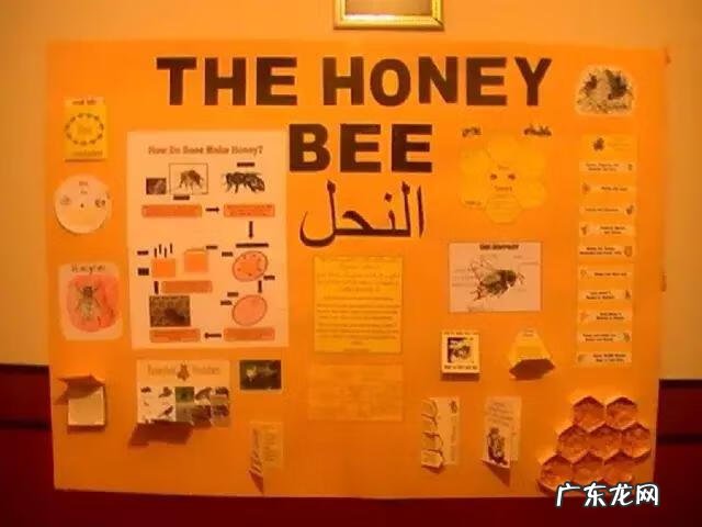 英语手抄报内容大全 英语手抄报图片