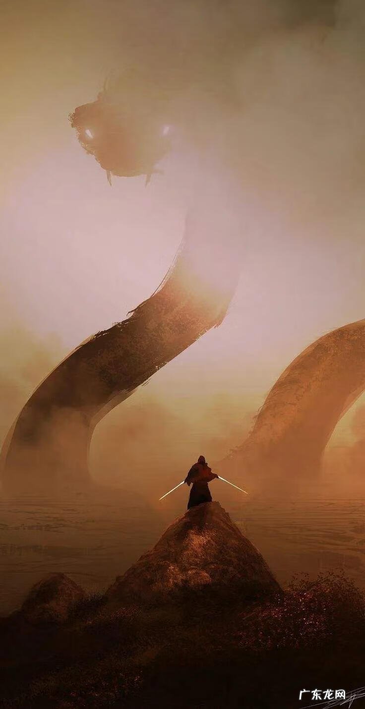 属蛇人有什么风水禁忌 属蛇人的头像风水