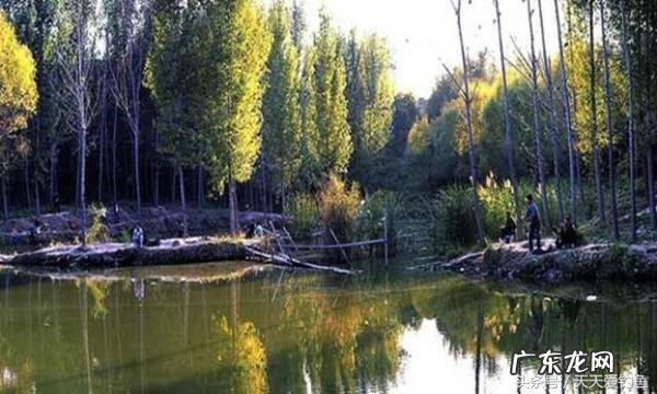 钓鱼气压查询 天气气压预报钓鱼查询