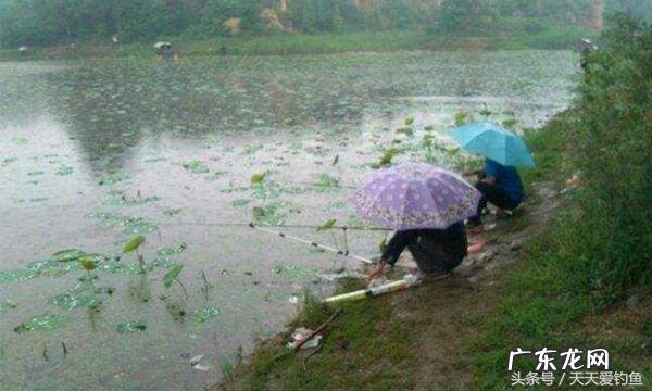 钓鱼气压查询 天气气压预报钓鱼查询