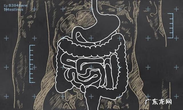 不想做肠镜怎么查肠道 肠道疾病有哪些