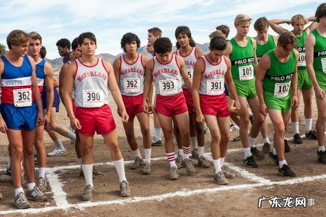 for the birds blackbirds