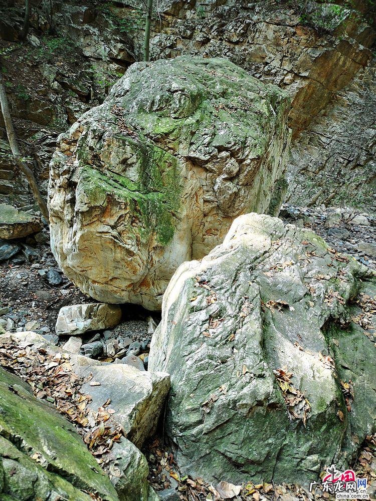 瓜米石 归朝镇石瓜风水
