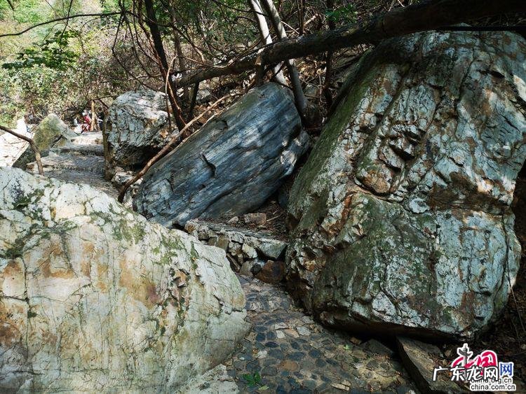 瓜米石 归朝镇石瓜风水