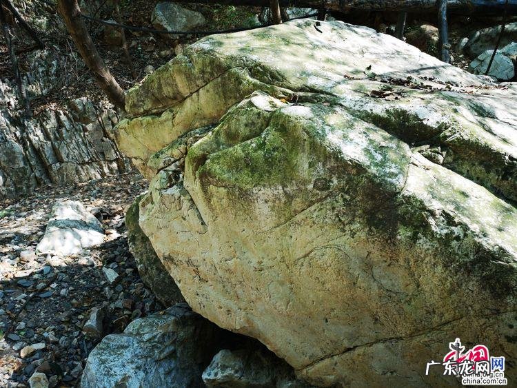 瓜米石 归朝镇石瓜风水