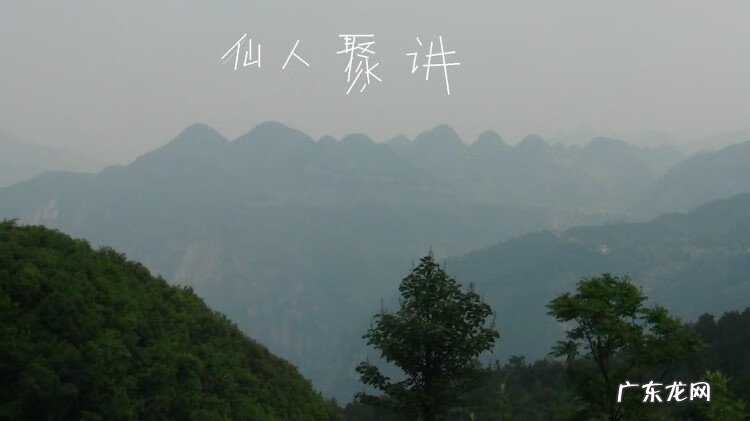 海龙海马在风水的作用 马地风水特征