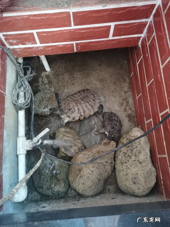 水幕景墙的风水 水幕墙风水