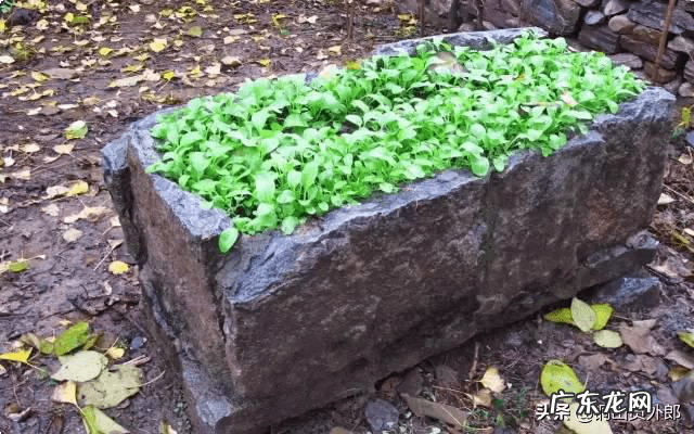 江苏古村落 江苏古村落风水