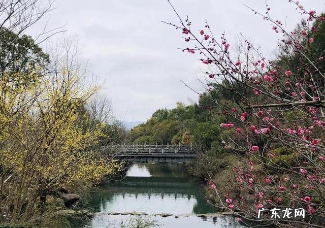 怎么炒茶叶做奶茶 如何炒茶叶?