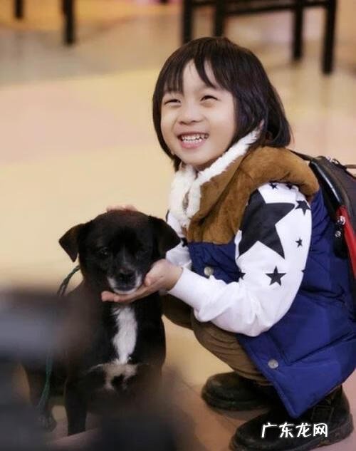 爸爸去哪儿第五季全集 爸爸去哪儿第五季第一期完整版