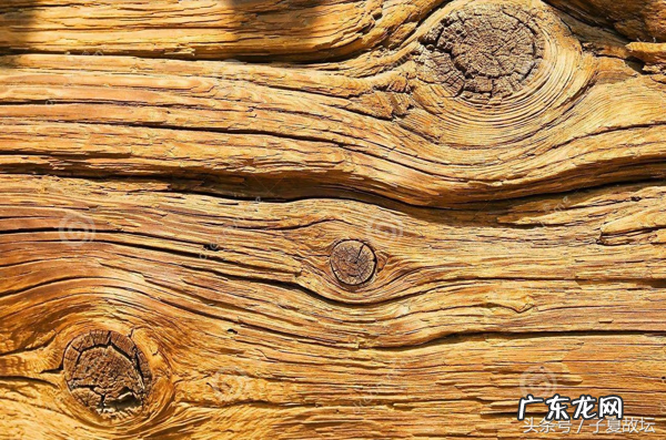 风水艮方代表什么 艮字在八卦中的解释