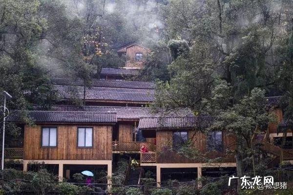 备急千金要方 千金要方秘方大全