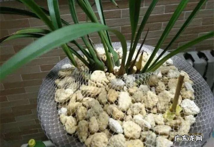 家里旧筷子被直接扔了怎么办 家里不用的旧筷子扔掉有什么讲究吗