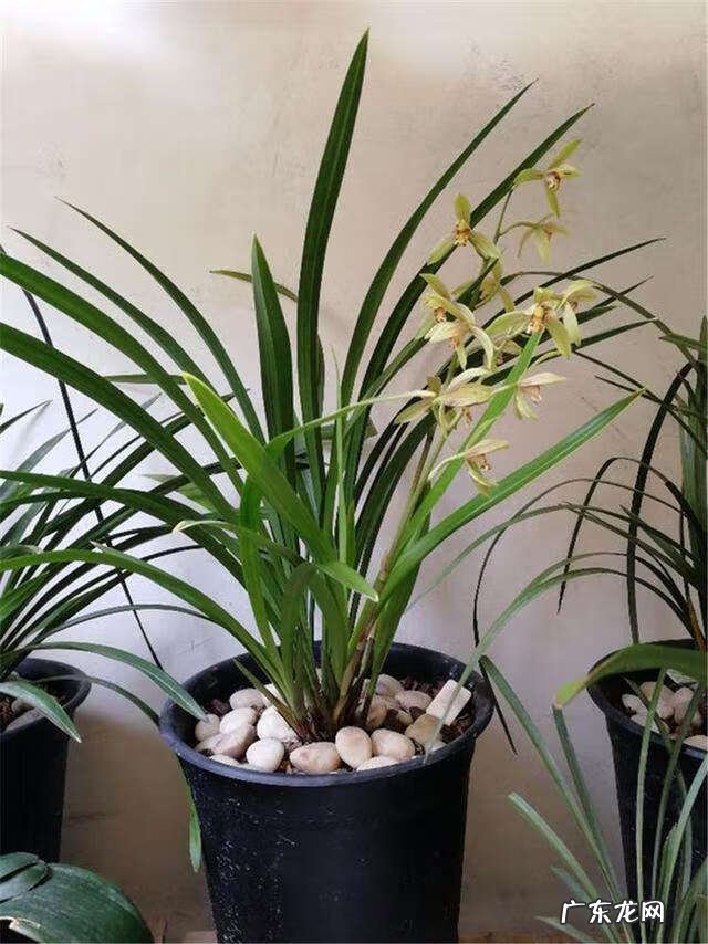 家里旧筷子被直接扔了怎么办 家里不用的旧筷子扔掉有什么讲究吗