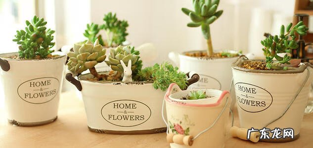 家里旧筷子被直接扔了怎么办 家里不用的旧筷子扔掉有什么讲究吗