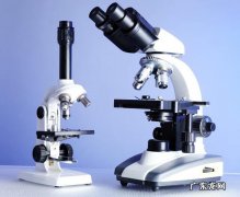 最新糖尿病诊断标准2022 糖尿病的诊断标准有哪些
