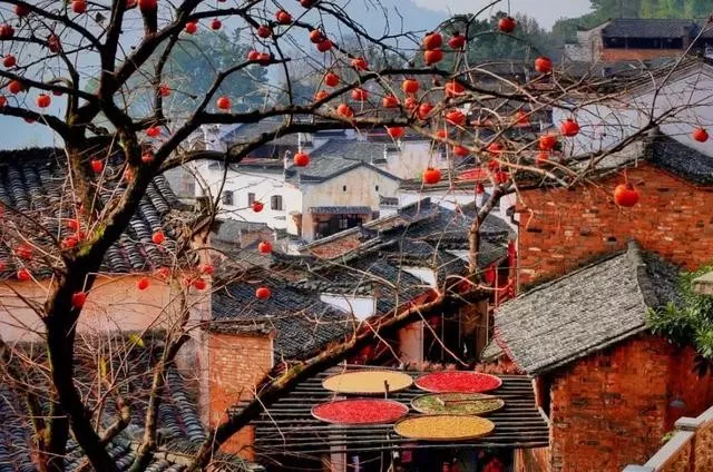 别墅花园的风水禁忌 别墅花园种什么树风水好
