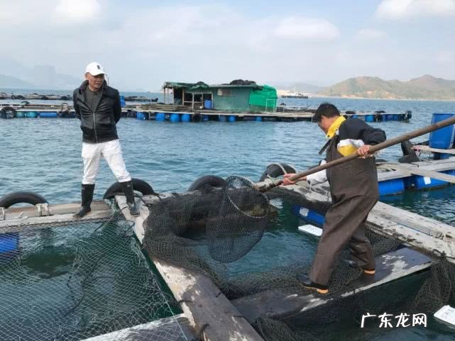 风水大师纪兴恩 风水大王吴伯恩