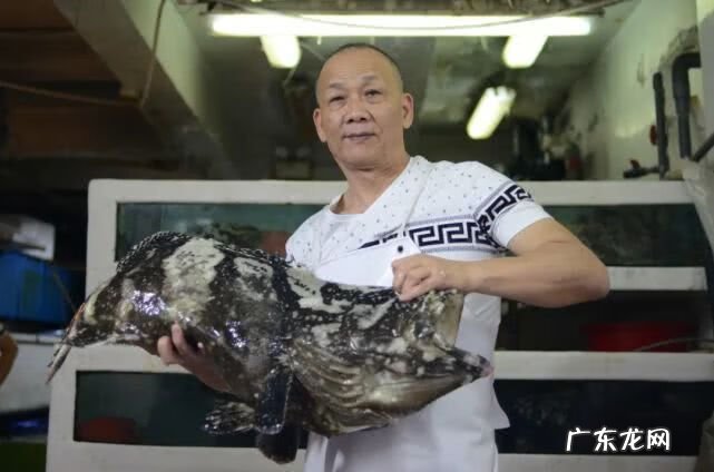 风水大师纪兴恩 风水大王吴伯恩