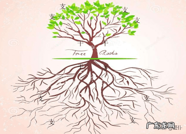 地书奇门讲义 奇门罗盘和风水罗盘