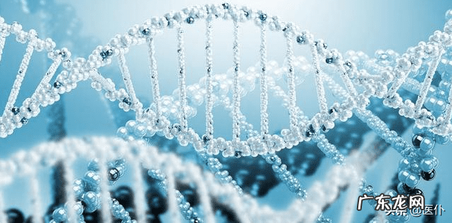 地书奇门讲义 奇门罗盘和风水罗盘