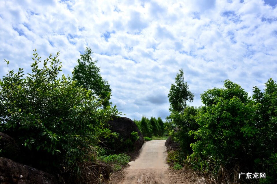 麒麟风水宝地出什么人才 风水宝地大将点兵出何人