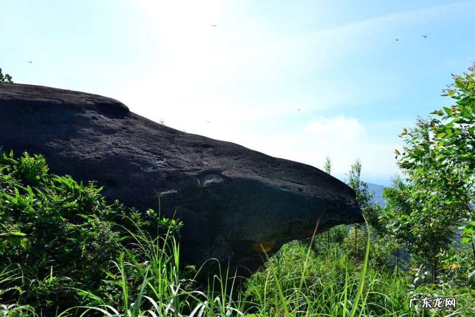 麒麟风水宝地出什么人才 风水宝地大将点兵出何人