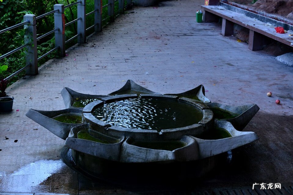 麒麟风水宝地出什么人才 风水宝地大将点兵出何人