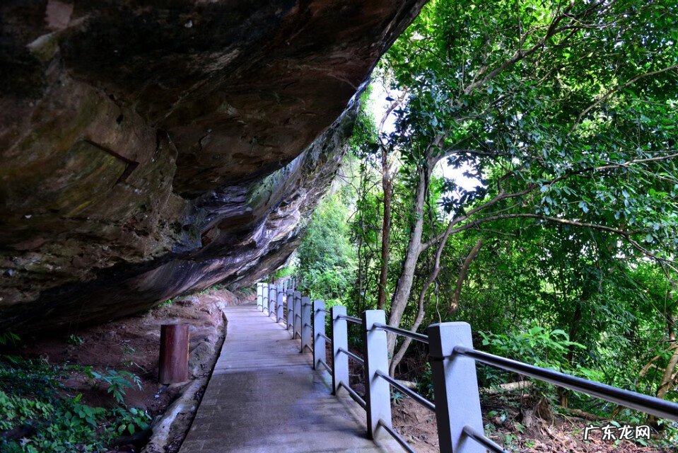 麒麟风水宝地出什么人才 风水宝地大将点兵出何人