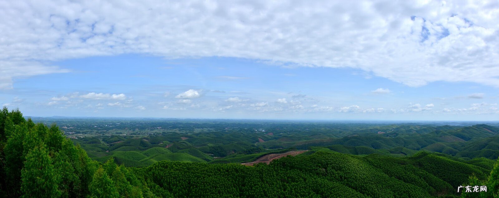 麒麟风水宝地出什么人才 风水宝地大将点兵出何人