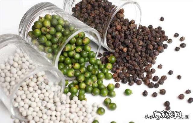 白胡椒粉和黑胡椒粉的用法 黑胡椒粉跟白胡椒粉