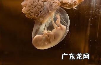 羊水四个数值正常范围 羊水指数多少mm正常范围