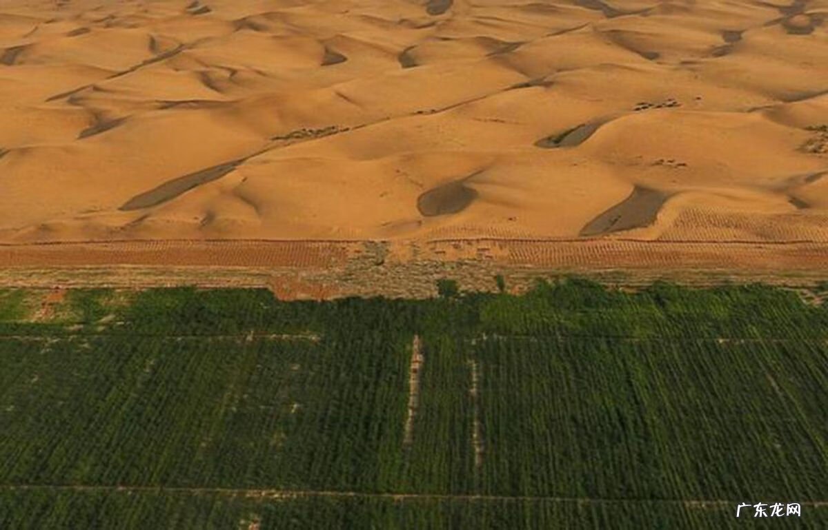 马云办公室摆放图片 马云种树有什么好处