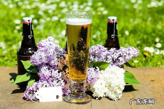 父亲节的歌曲全部 关于父亲节的歌曲名