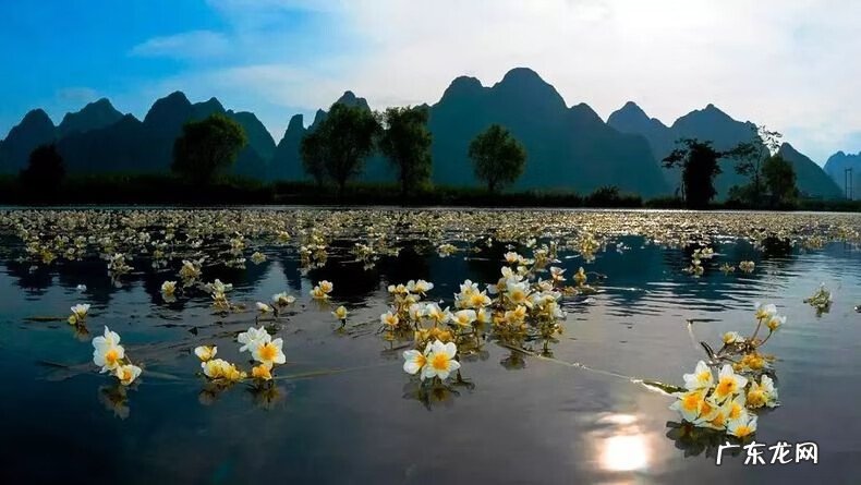 广西天子地风水留题 广西都阳山脉风水