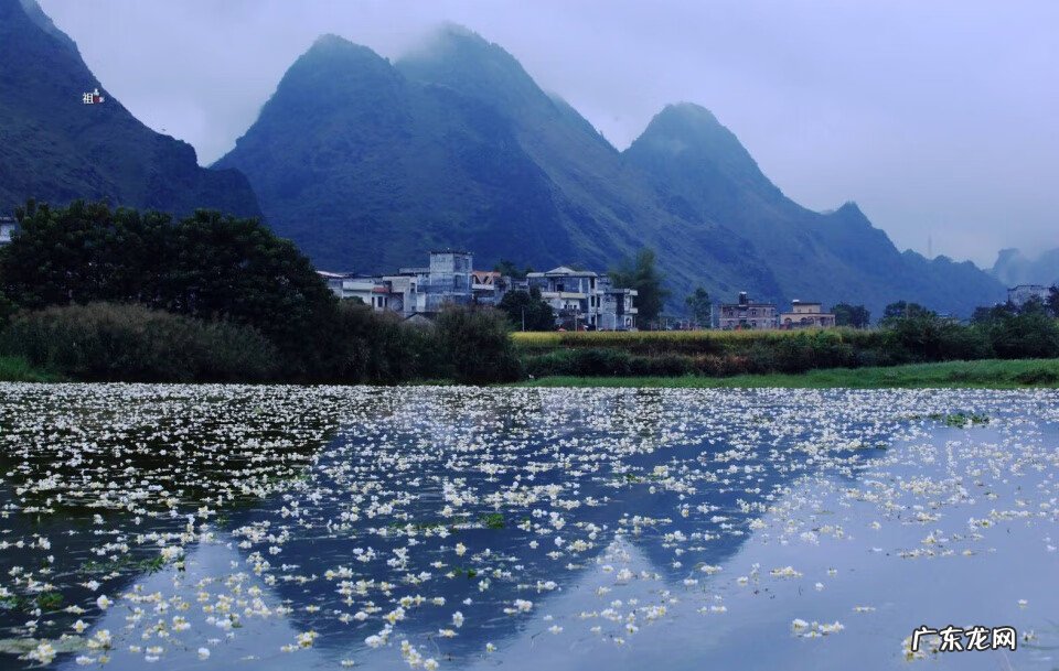 广西天子地风水留题 广西都阳山脉风水