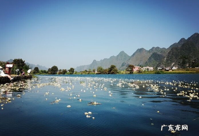 广西天子地风水留题 广西都阳山脉风水