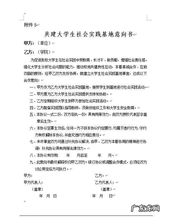 大学生实践报告模板