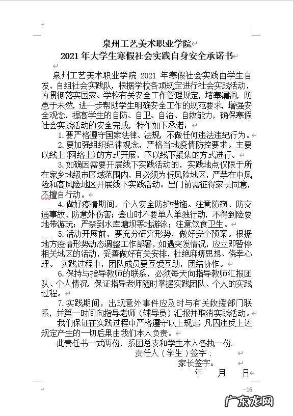 大学生实践报告模板