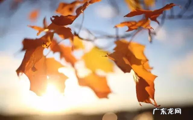 适合秋天的成语 秋天成语四个字