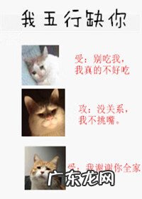 重生风水文推荐 风水文主受完结文