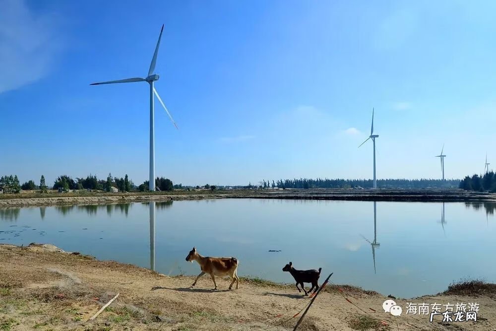风水宝地的意思是什么 白鹭栖息的地方风水宝地