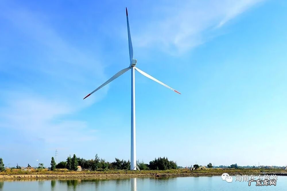 风水宝地的意思是什么 白鹭栖息的地方风水宝地