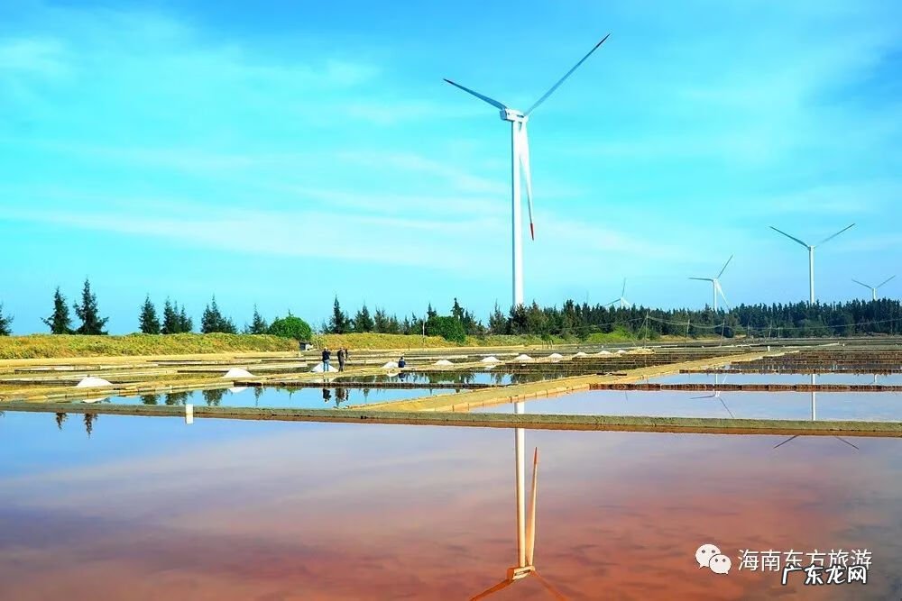 风水宝地的意思是什么 白鹭栖息的地方风水宝地