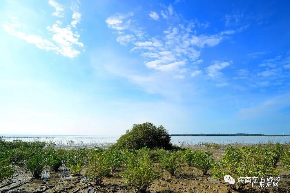 风水宝地的意思是什么 白鹭栖息的地方风水宝地