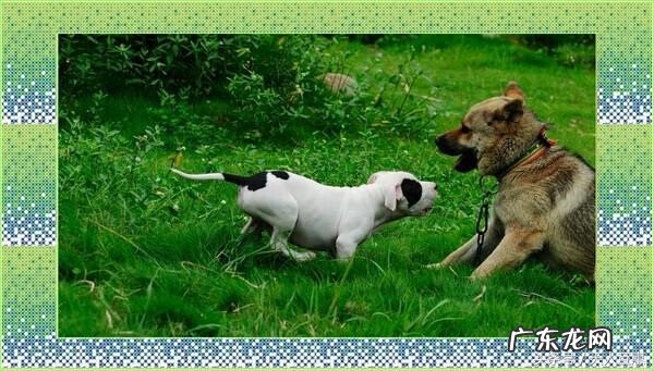 风水大师图片头像 头像的风水