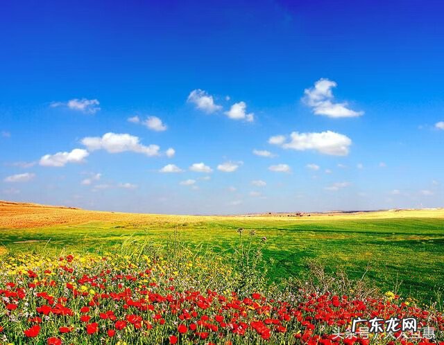 风水大师图片头像 头像的风水