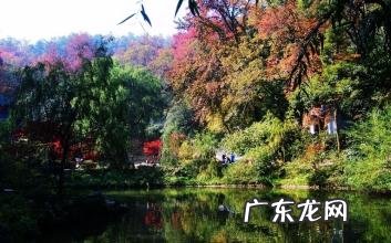 富甲天下图片 什么风水甲天下