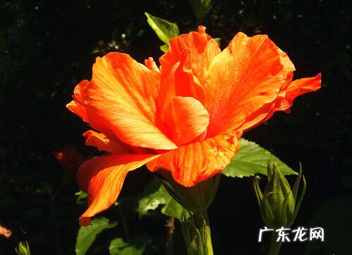 西交·高铁馨苑项目 高铁馨苑风水